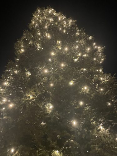 2025-Christmas-Tree-Lighting-3-scaled
