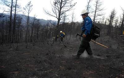 forest-service3_2