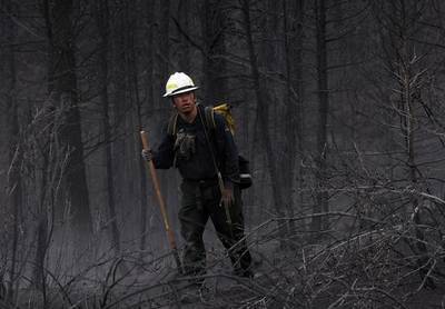 forest-service5_2